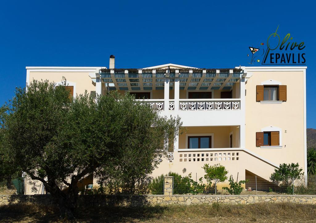 Apartament Olive Epavlis Karpatos Zewnętrze zdjęcie
