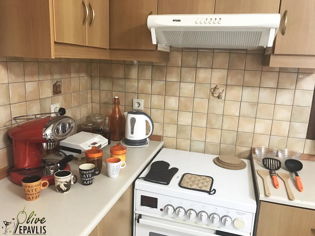 Apartament Olive Epavlis Karpatos Zewnętrze zdjęcie