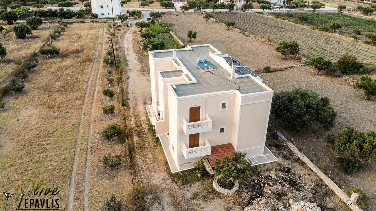 Apartament Olive Epavlis Karpatos Zewnętrze zdjęcie