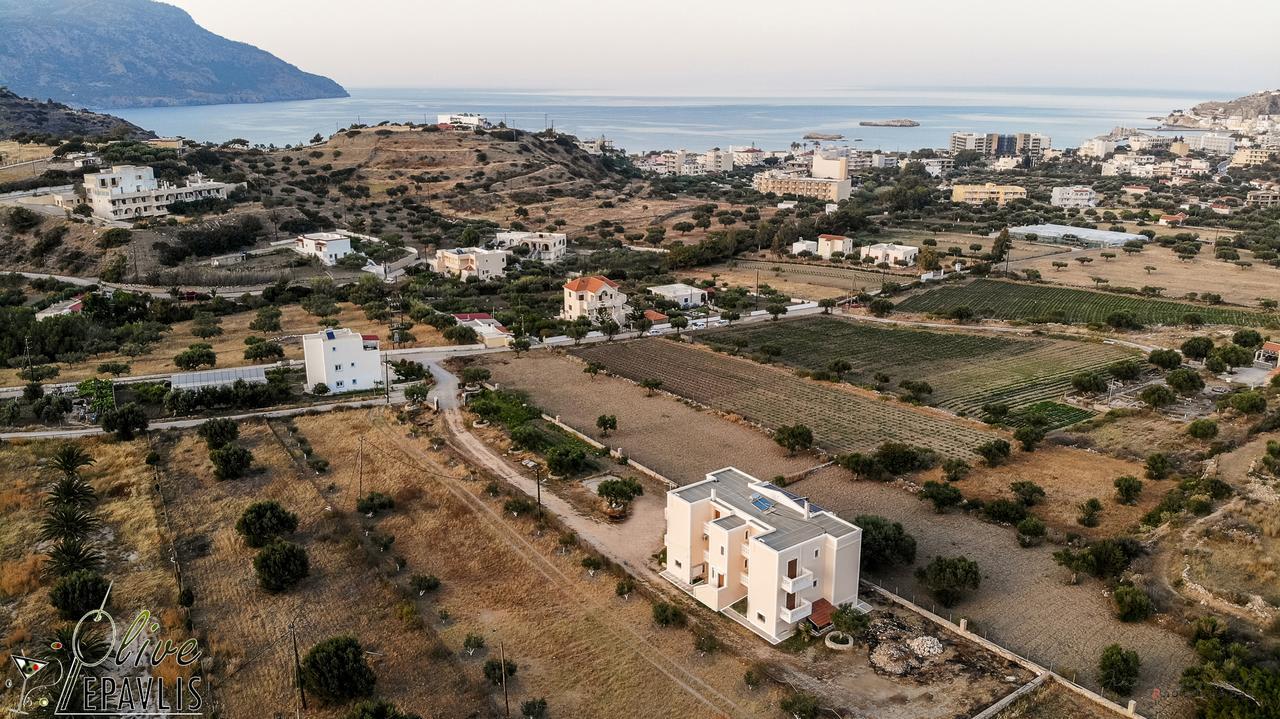 Apartament Olive Epavlis Karpatos Zewnętrze zdjęcie